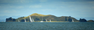 Wellington Harbour